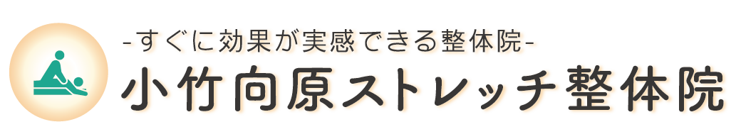 logo1-01